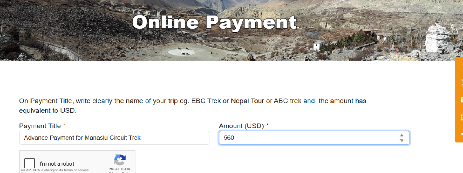 Online Payment