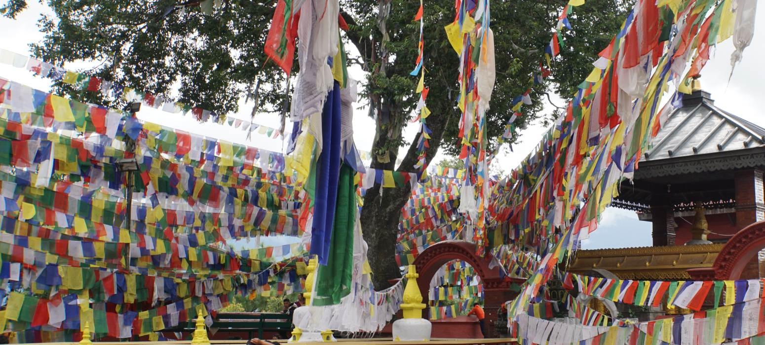 Path of Peace and Transformation