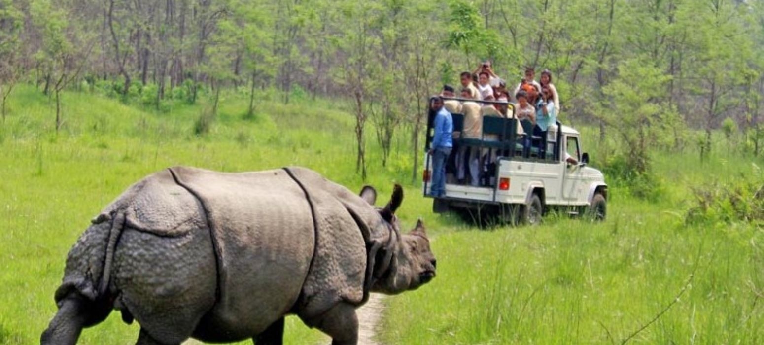 Wildlife Adventure